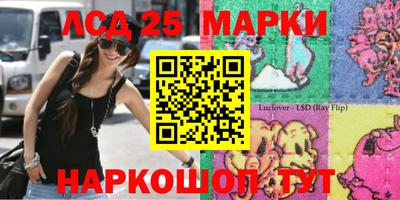 мяу мяу мука Будённовск