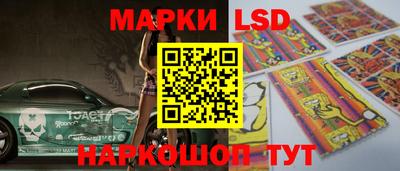 мяу мяу мука Будённовск
