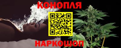 мяу мяу мука Будённовск