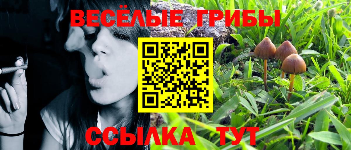 Стрежевой  Псилоцибиновые грибы Cubensis  Галлюциногенные грибы Cubensis  Вход с VPN 