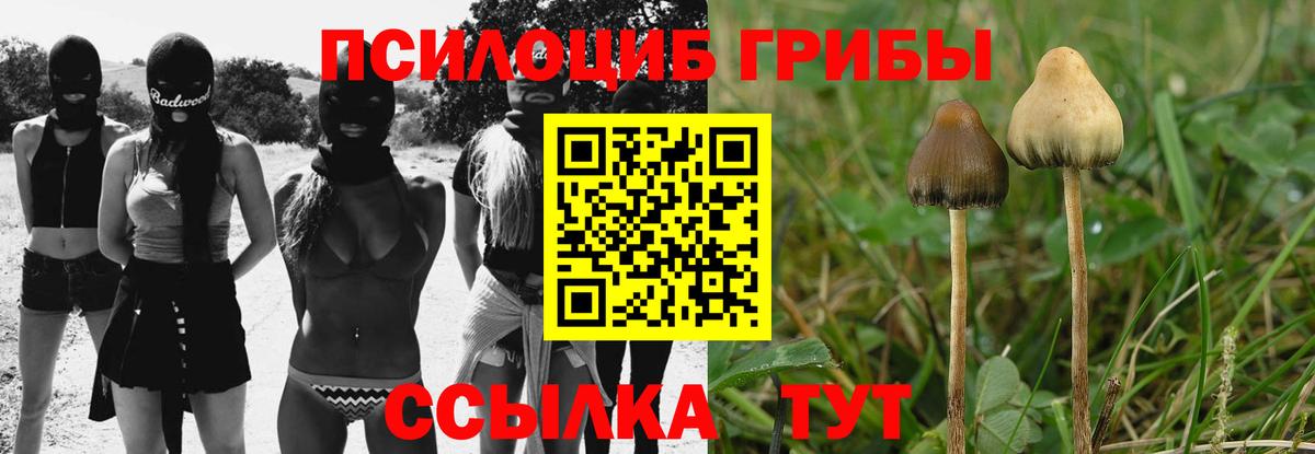 Галлюциногенные грибы Cubensis Стрежевой